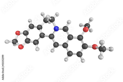 Berberine, a quaternary ammonium salt from the protoberberine gr photo
