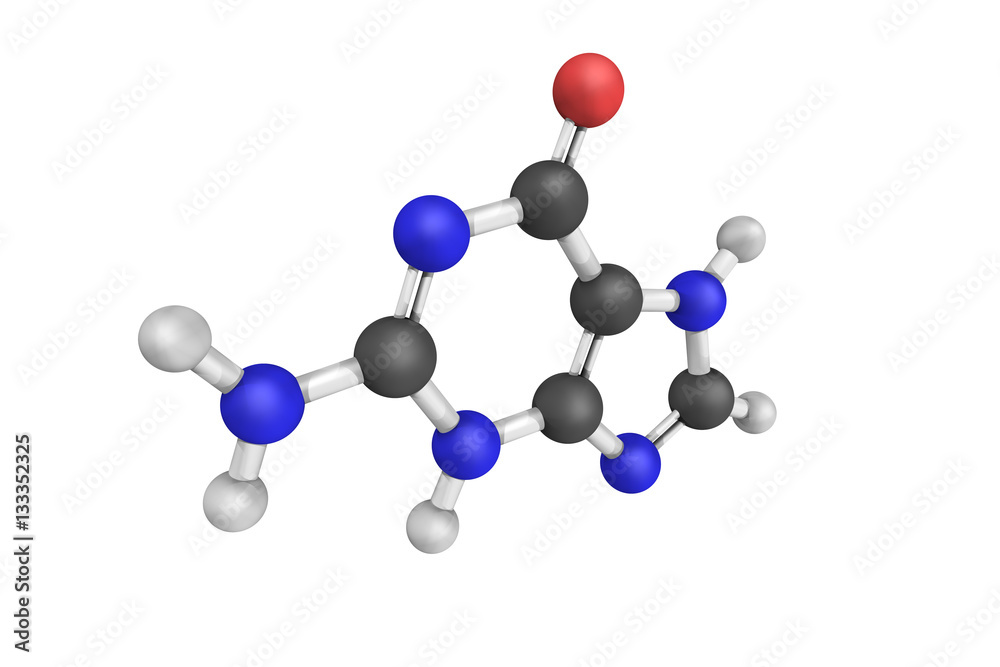 Guanine is one of the four main nucleobases found in the nucleic Guanine is one of the four main nucleobases found in the nucleic