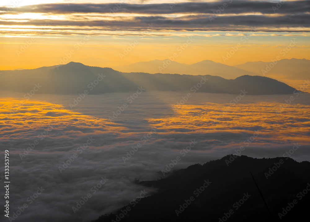 Sunrise landscape of foggy and cloudy mountain valley, Doi Pha Tang chiang rai thailand