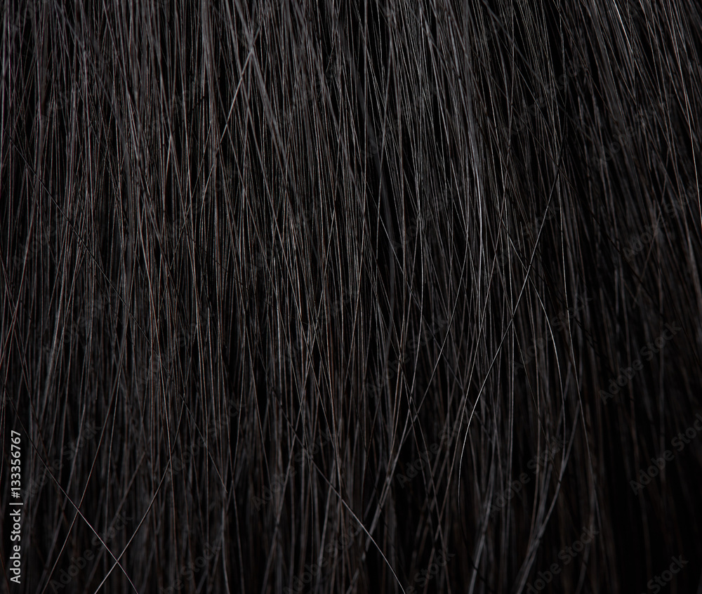 Macro of human hair Macro of human hair