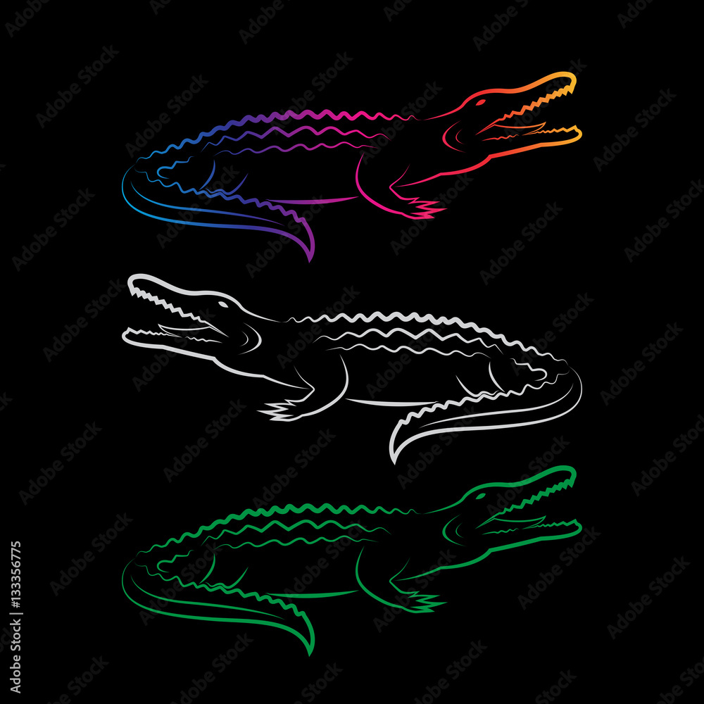 Fototapeta premium Grupa wektor wzór krokodyla na czarnym tle. Wild Anima