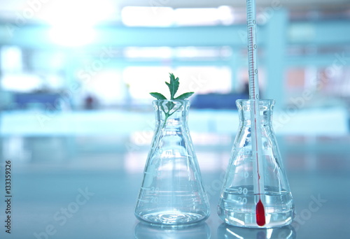 thermometer in glass flask with plant in science laboratory