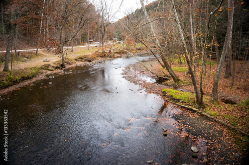 fall in the park