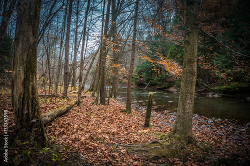 fall in the park