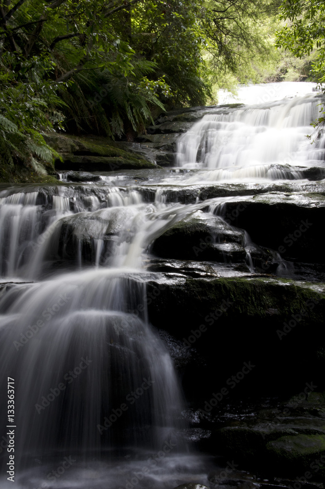Fototapeta premium Leura Cascades 002