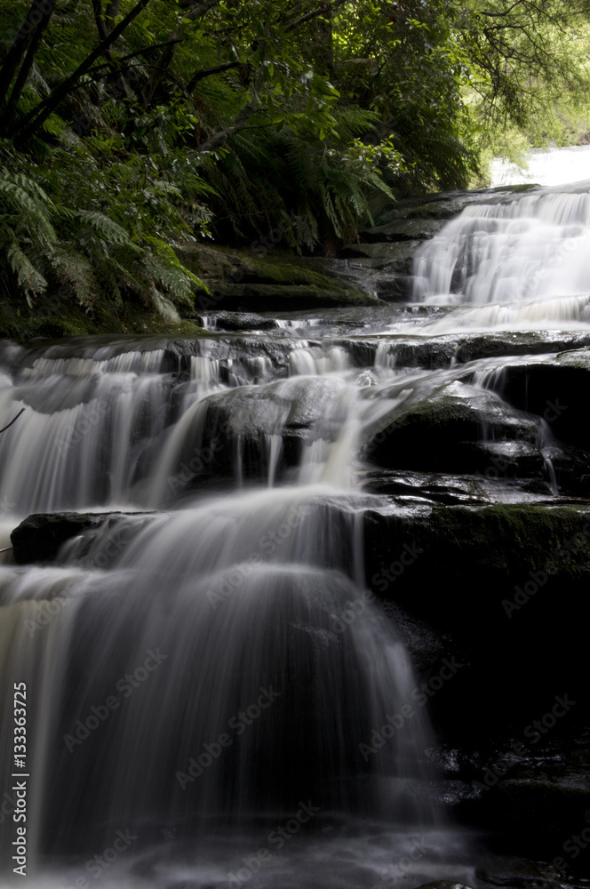 Fototapeta premium Leura Cascades 001
