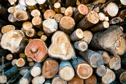 Stacked cut wood in a winter woodpile