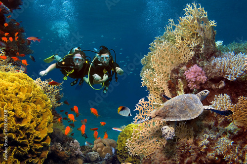 Canvas Print The loving couple dives among corals and fishes in the ocean