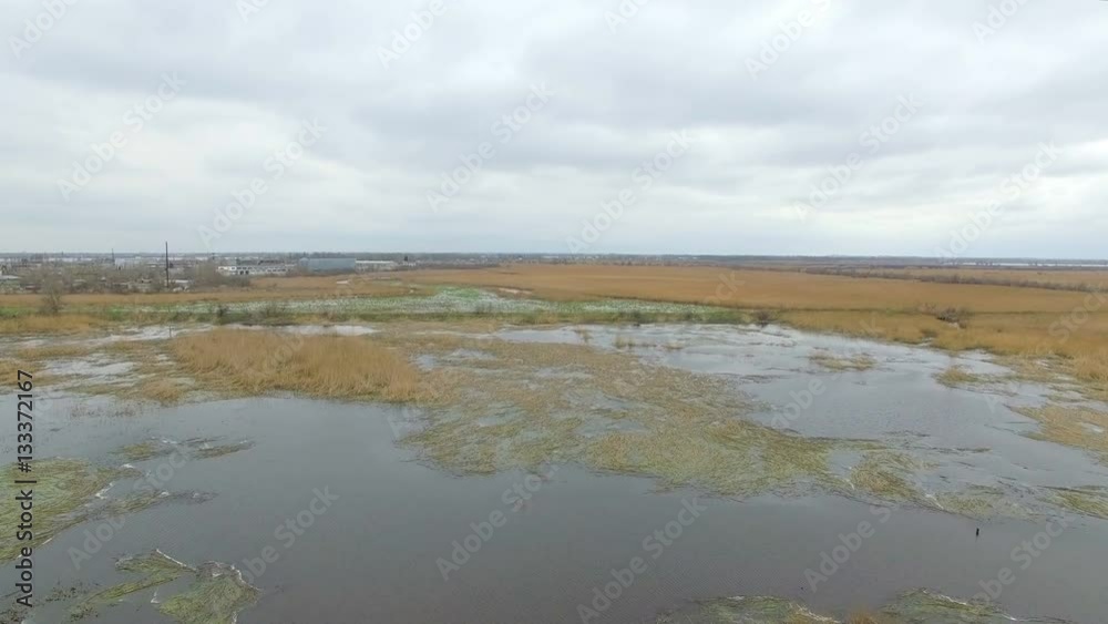 swampy area. low flight over the marsh swampy area. low flight over the marsh