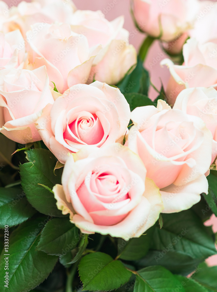 Bouquet of beautiful natural pink roses close up on a soft pink pastel background. Valentines Day romantic concept. Copy space Bouquet of beautiful natural pink roses close up on a soft pink pastel background. Valentines Day romantic concept. Copy space