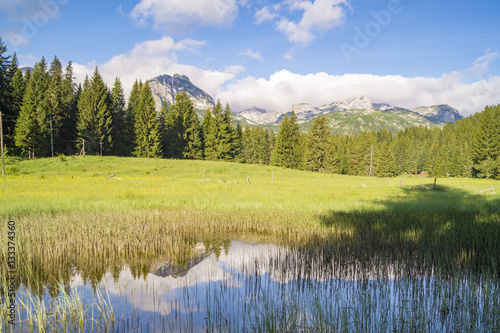 national park Durmitor in Montenegro, mountain meadow