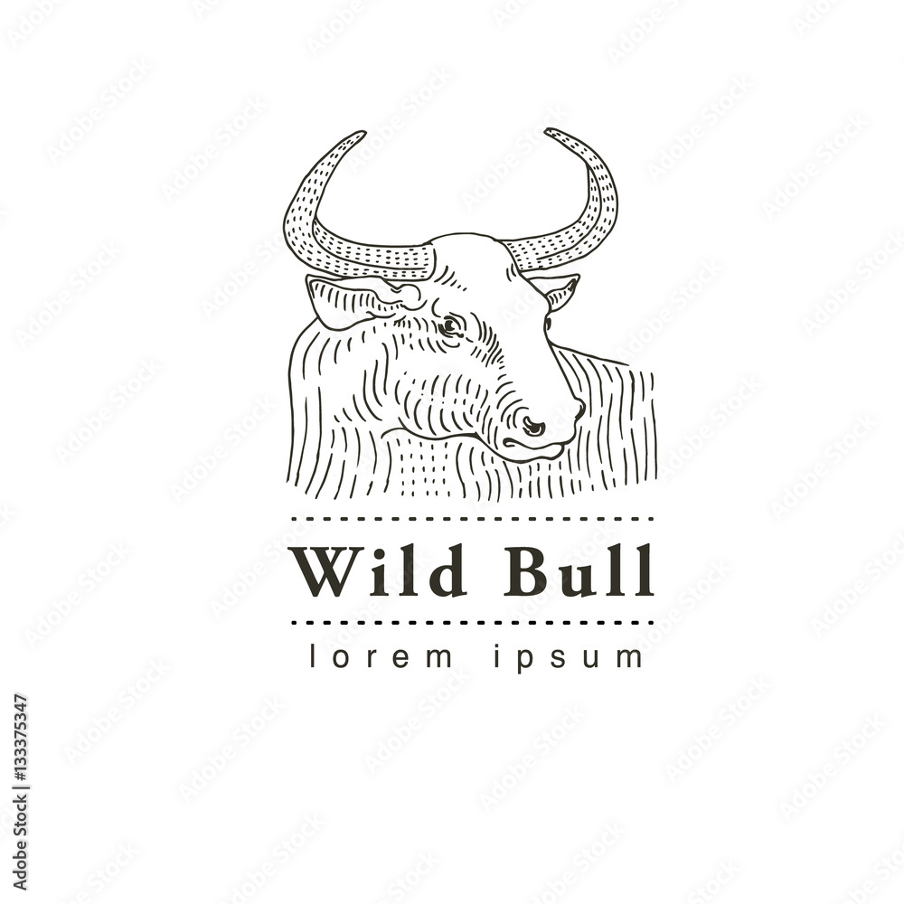 Vector image of an bull.