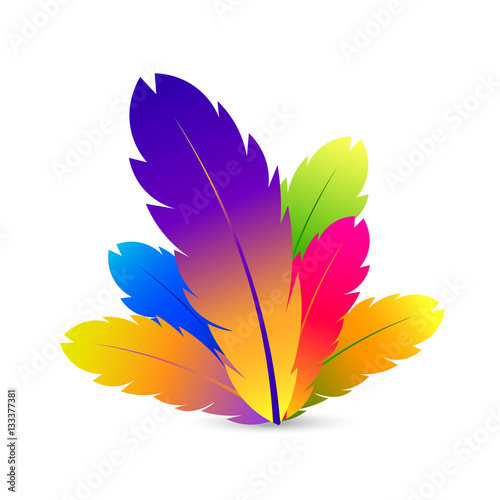 Feather with different color. Vector illustration