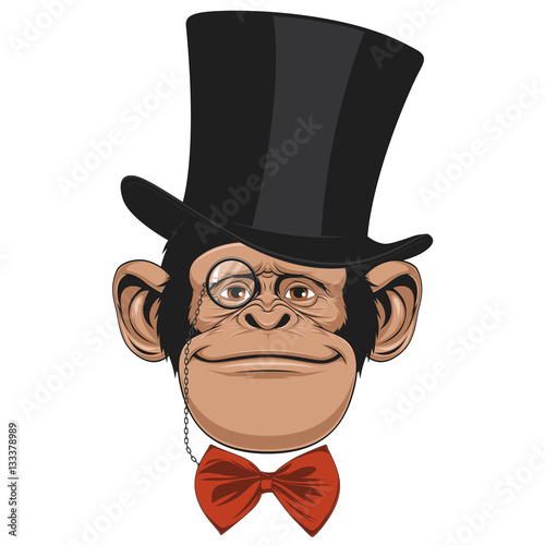  Monkey hat head