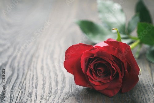 single dark red rose on wood background, vintage toned photo