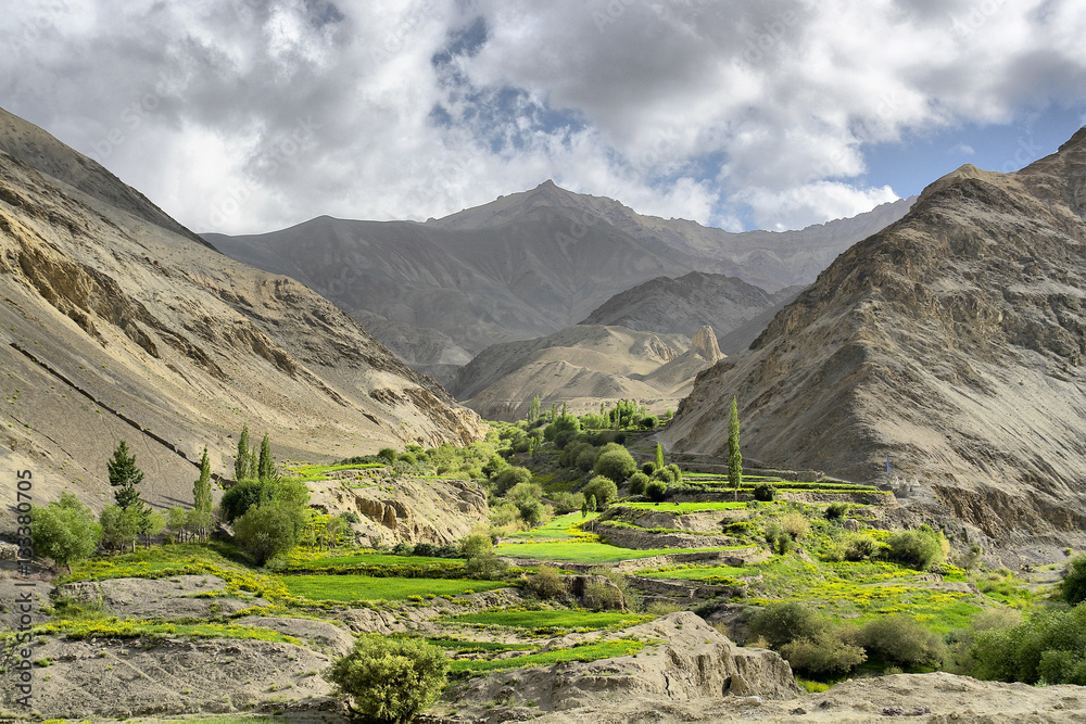 Fototapeta premium Nubra - a tri-armed valley located to the north east of Ladakh valley, India 
