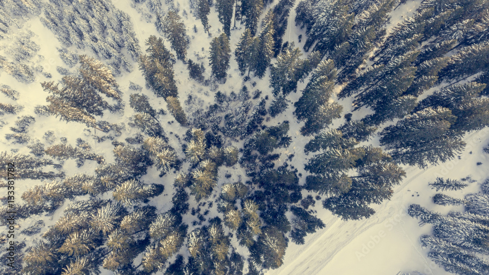 Fototapeta premium Aerial view of winter forest.