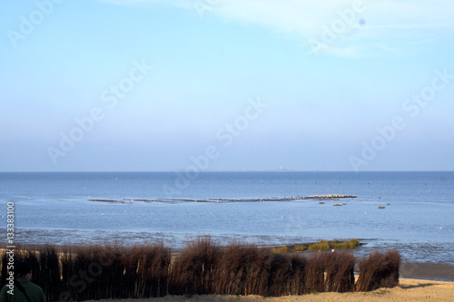 Ebbe