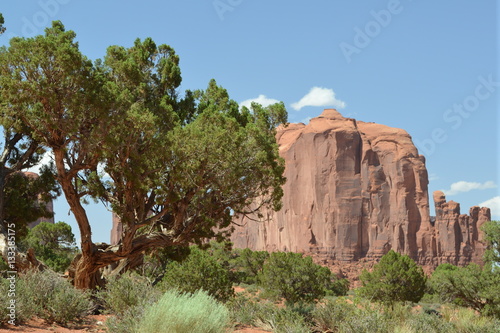 Tapety artystyczne Big Rock