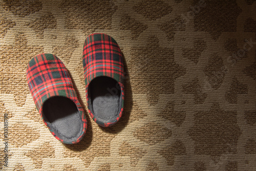 Cloth slipper on carpet