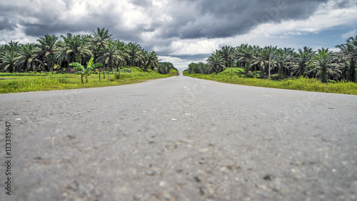 A road of the Borneo photo