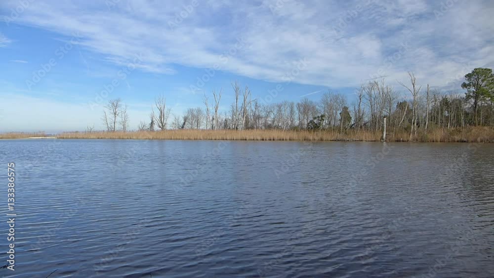 pond on Chesapeake Bay in winter pond on Chesapeake Bay in winter