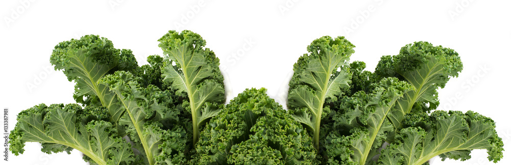 Green leafy kale vegetable - obrazy, fototapety, plakaty 