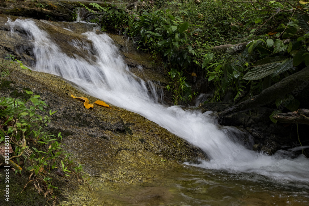 Fototapeta premium Beautiful scenery of cascaded river flowing through tropical rain forest