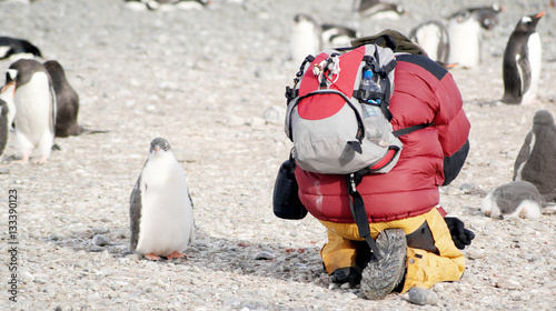 scientific expedition in antarctica