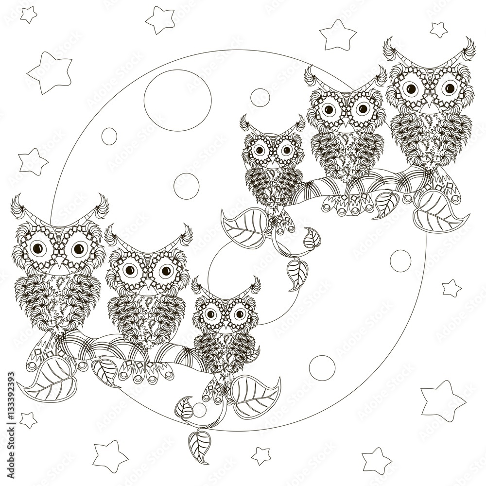 Zentangle stylized black and white owls on branches, full moon, hand ...
