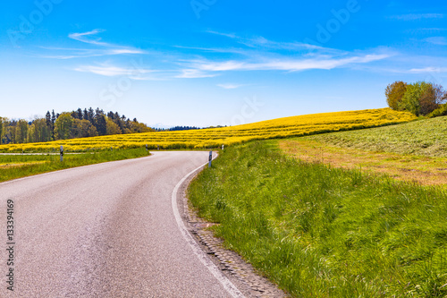 view of a rapeseed field and a highway