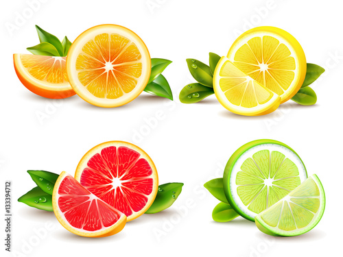 Citrus Fruits  Segments 4 Realistic Icons 