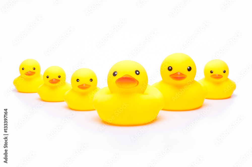 yellow rubber duck on white background. yellow rubber duck on white background.