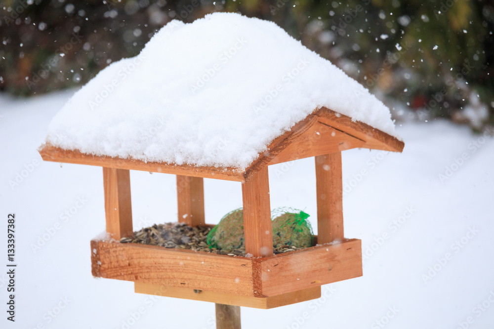 simple bird feeder in winter garden simple bird feeder in winter garden