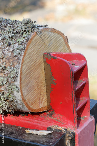 Closeup of a log splitter splitting a birch log photo