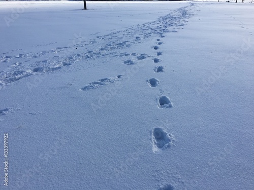 Fu  stapfen im Schnee