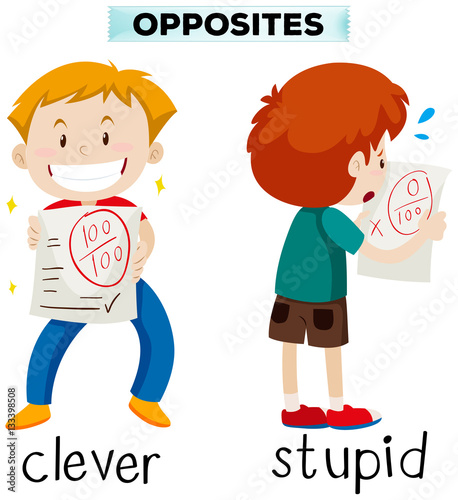 Opposite words for clever and stupid