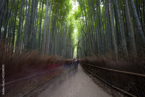 arashiyama autumn kyoto, japan 2016