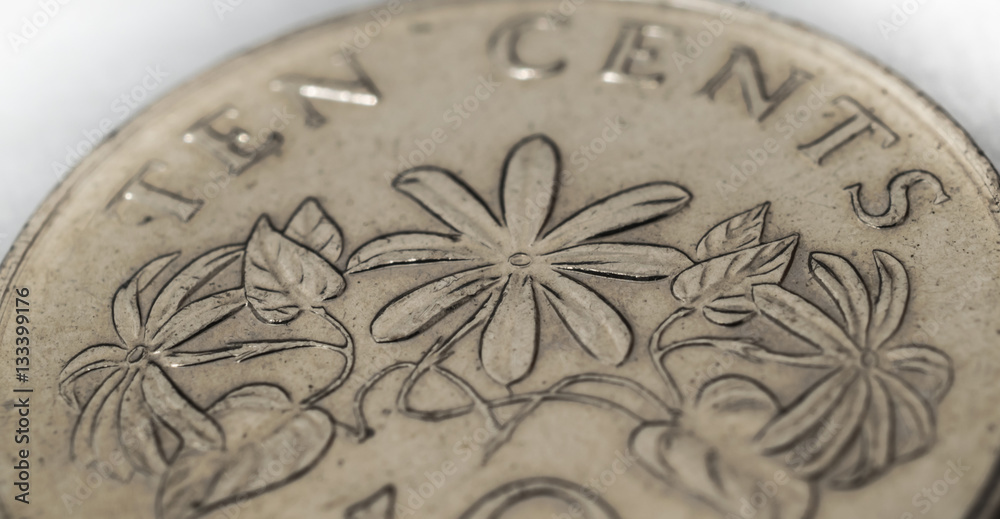 singapore ten cents coin with  Jasminum multiflorum flower closeup