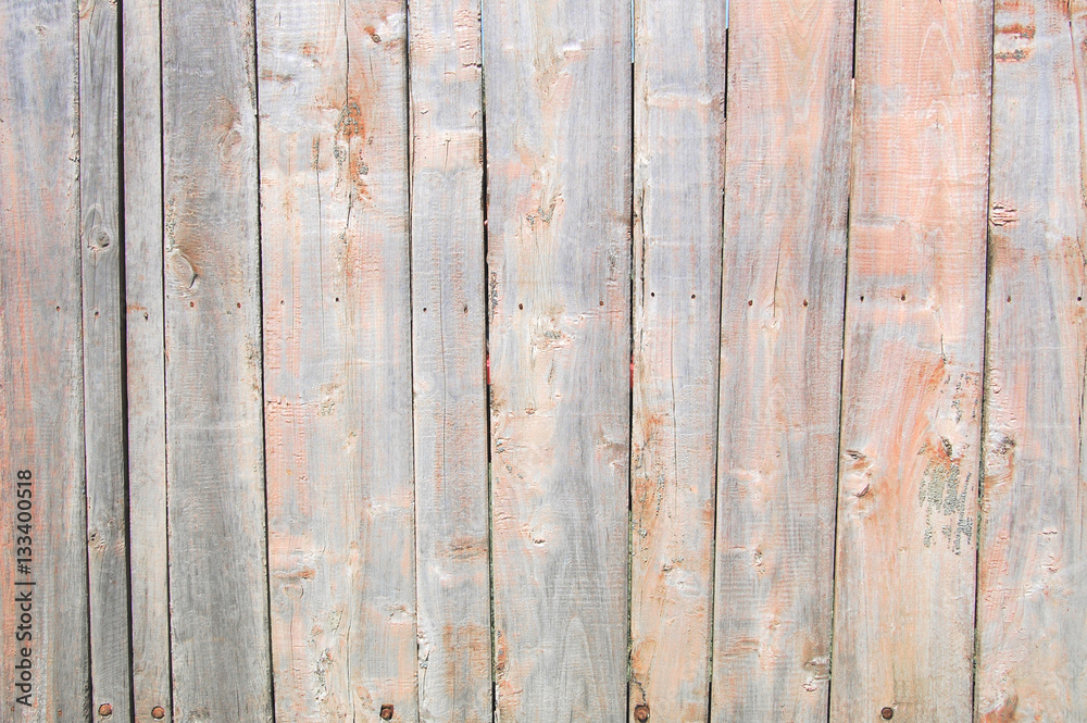 Naklejka premium light coral old wooden fence. wood palisade background. planks texture