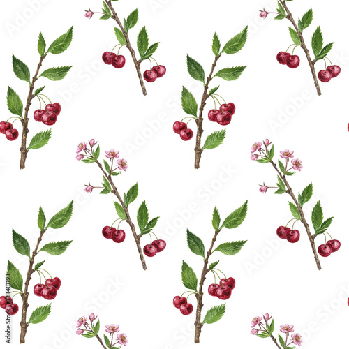 Wallpaper Mural seamless pattern with cherry tree branch with flowers, leaves and berries Torontodigital.ca