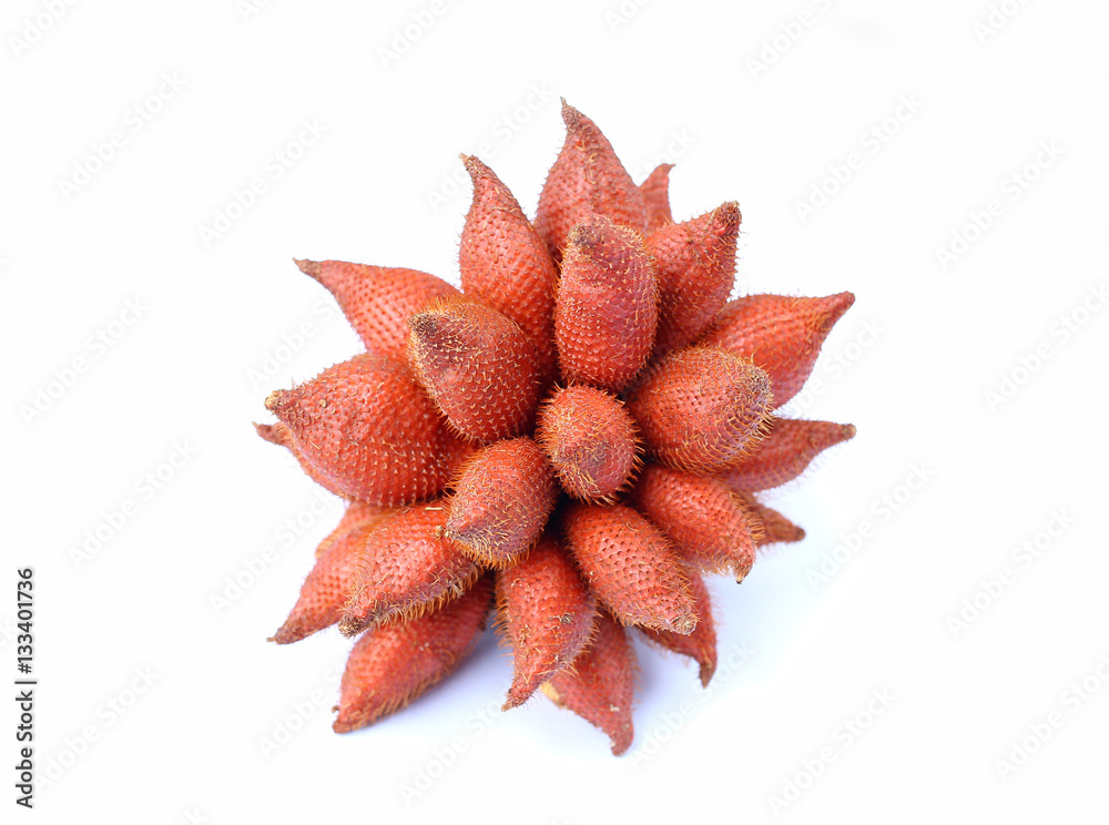 Fototapeta premium Wintergreen shell on white background, Salak Palm fruit, tropical fruit in Thailand.