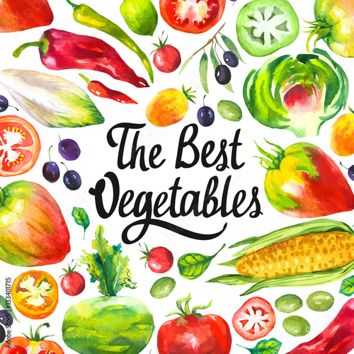 Watercolor illustration with round composition of farm products. Vegetables set  artichokes  tomato  olives  cauliflower  chicory  corn  tomato  spinach  peppers. Fresh organic food.