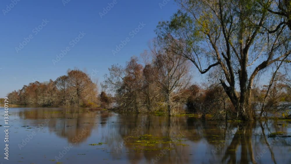 Winter Flooding in the Atchafalaya Swamp Winter Flooding in the Atchafalaya Swamp