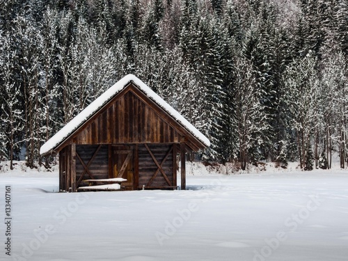 Wooden Cabin in Slovenian Alps © IgorPetrovic