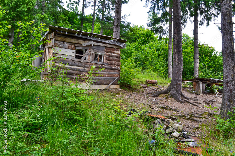The old hut in the forest. Ruined house surrounded by woods. The old hut in the forest. Ruined house surrounded by woods.