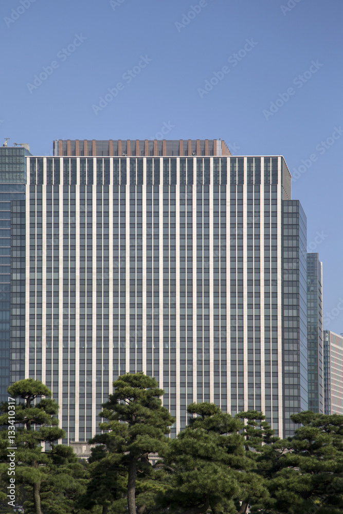 Beautiful green park garden with city view inTokyo, Japan Beautiful green park garden with city view inTokyo, Japan