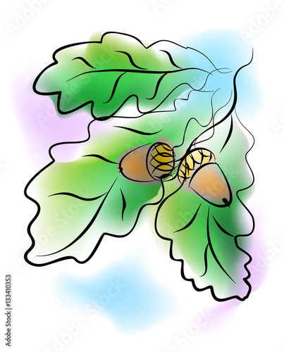 the oak tree