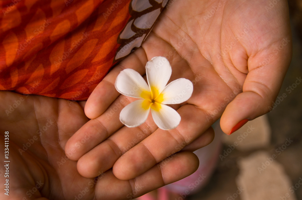 Flower in Hand