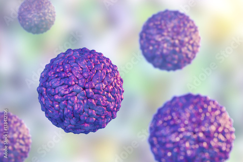 Pegivirus, formely called as Hepatitis G virus, 3D illustration. An RNA virus from family Flaviviridae which causes hepatitis photo